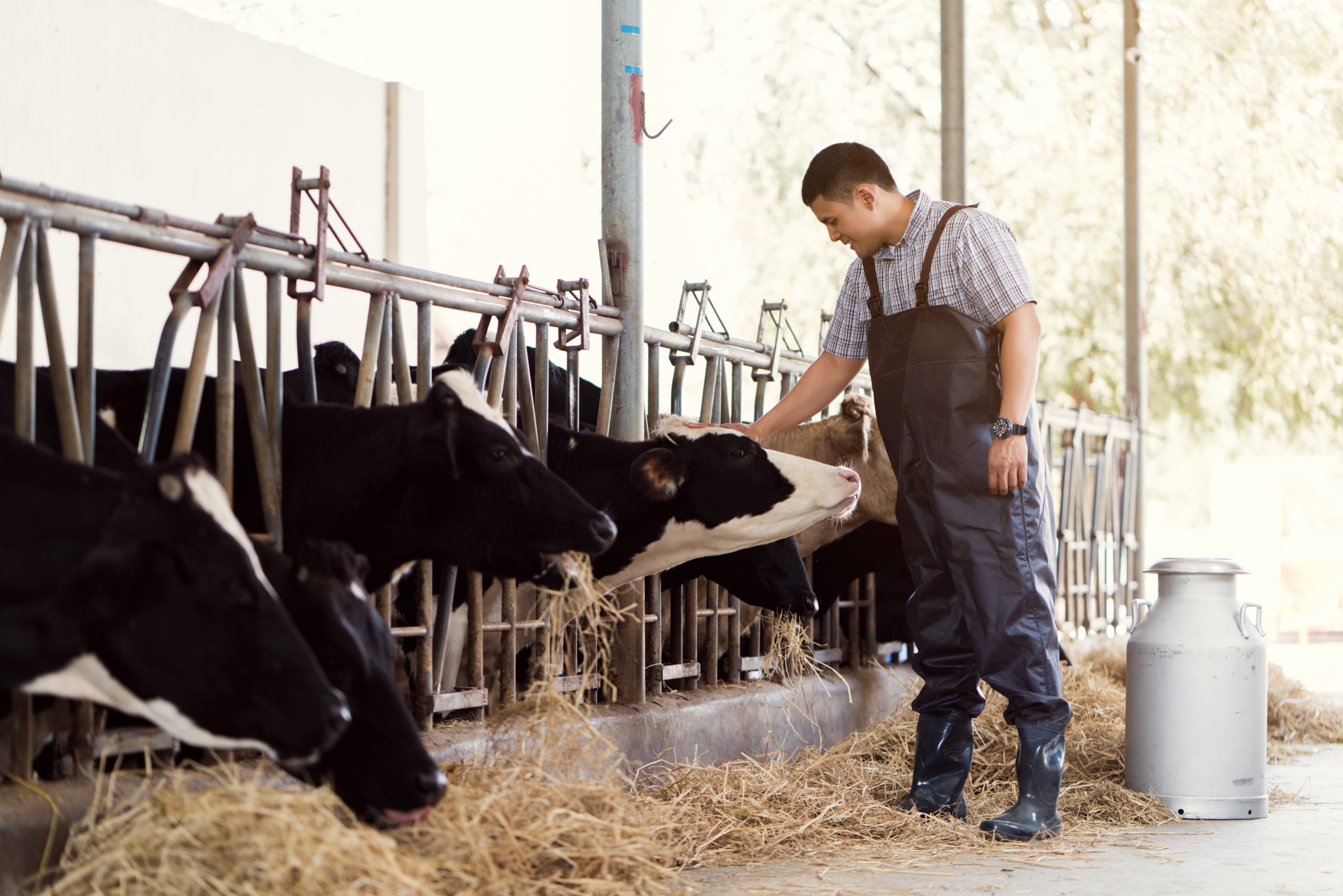 Les interdictions en zone agricole